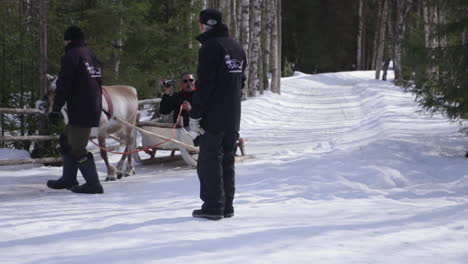 reindeer pulling a sleigh through snowy forest as two people observe in rovaniemi finland