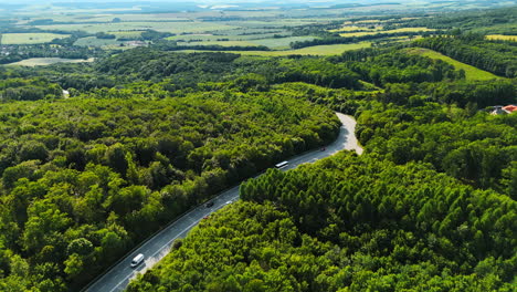 Scenic view lush greenery and road. Aerial view of a winding road surrounded by dense green forests in the countryside on a clear sunny day