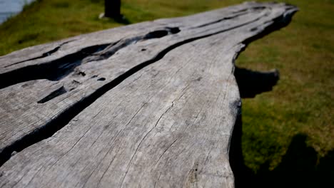 detalles de la estructura de la madera antigua, macro de la textura de la madera