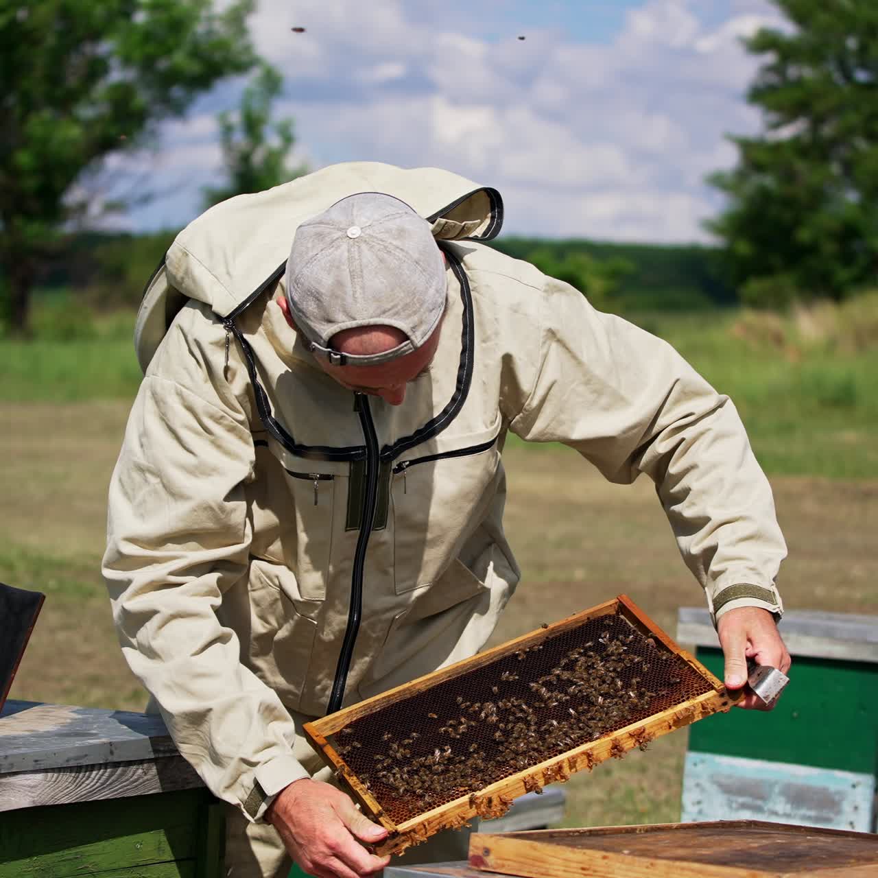 Apicoltura in una giornata di sole. Un apicoltore esperto estrae il telaio e lo controlla accuratamente al sole. Sfondo naturale sfocato