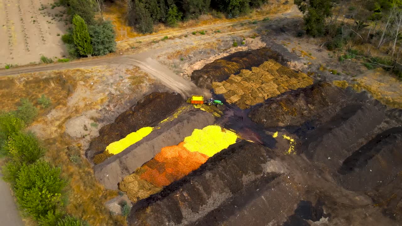 Aerial orbit of a tractor discarding orange shells on a compost area in a farm field surrounded by trees at daytime