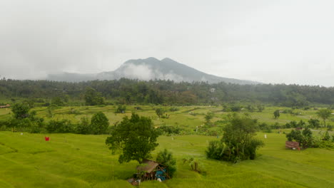 Vista-Aérea-Lenta-De-Campos-De-Arroz-Verde-En-Asia-Con-Pico-De-Montaña-Solitario-En-El-Fondo.-Exuberantes-Plantaciones-Agrícolas-Verdes-En-Bali,-Indonesia