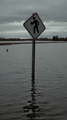 pedestrian crossing sign submerged in floodwaters