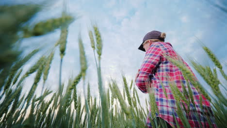 一名年轻的女农民站在小麦田里,向前看低角度的镜头