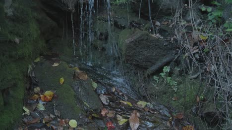 El-Agua-Gotea-Sobre-Las-Rocas-Y-El-Barro-A-Lo-Largo-Del-Arroyo-Wissahickon