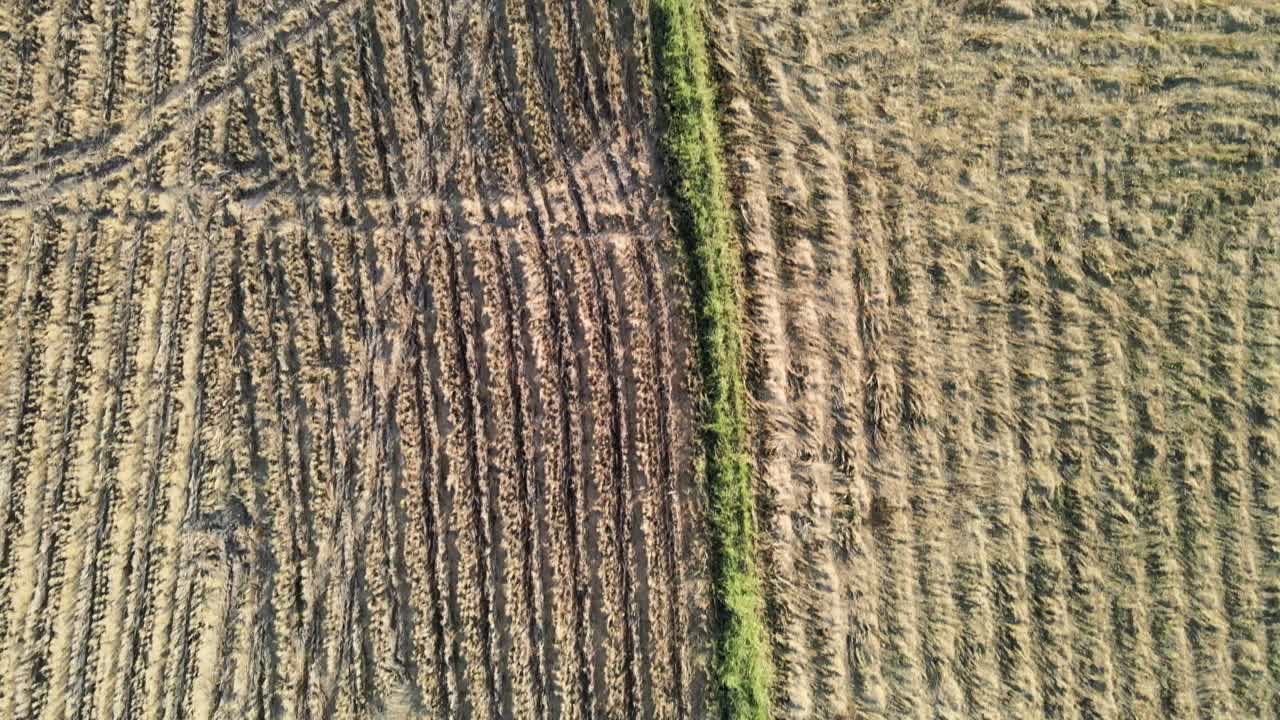 moviendo la cámara, grandes hectáreas para cultivar cultivos en la próxima temporada.