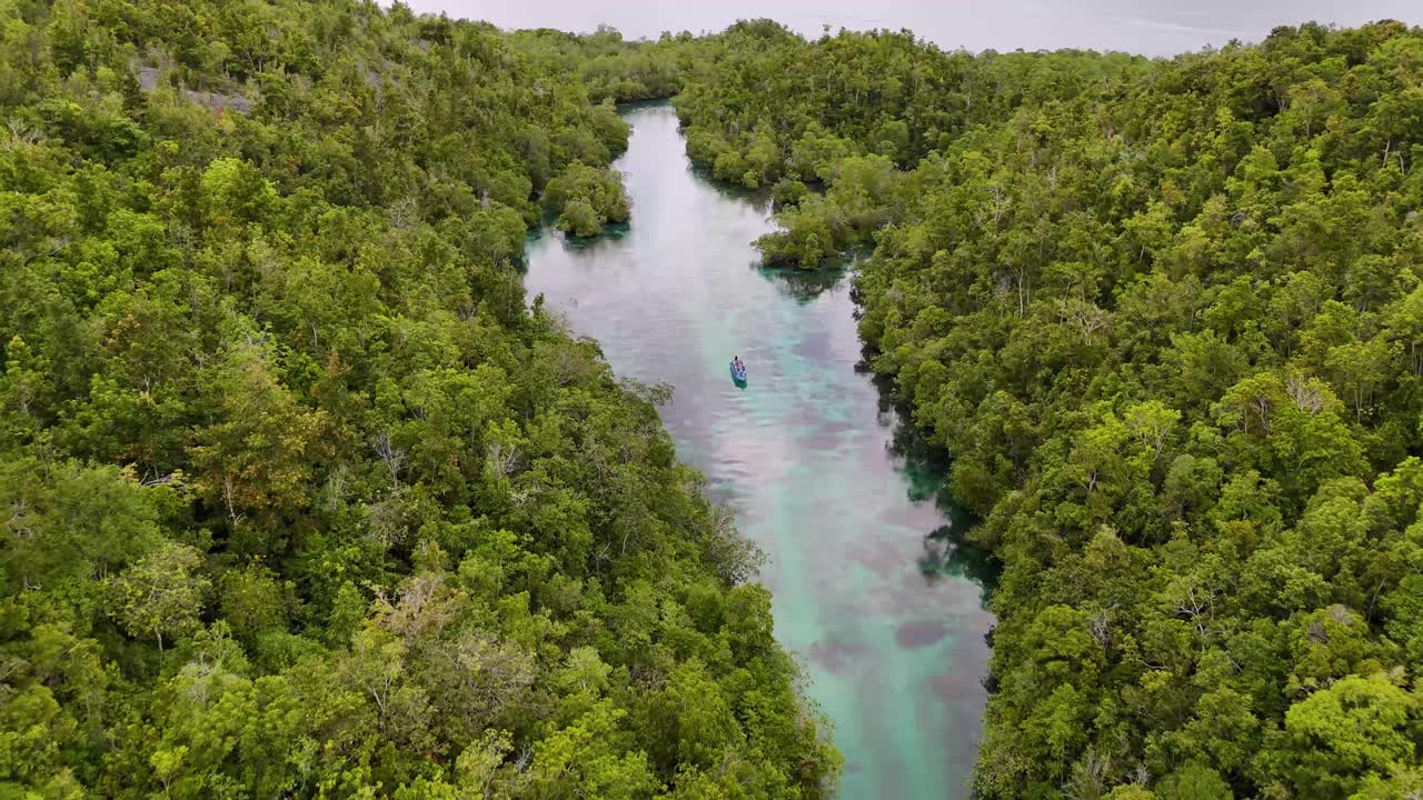 4k drone video of Mbuang Mbuang, a tropical lagoon of crystal clear blue water and natural forest landscapes and mangroves in the Banggai Islands, Sulawesi Indonesia