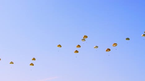 footage captures group of military paratroopers descending from sky during a mass parachute drop. set against a clear blue sky, the scene shows numerous parachutes open in formation. ede, netherlands