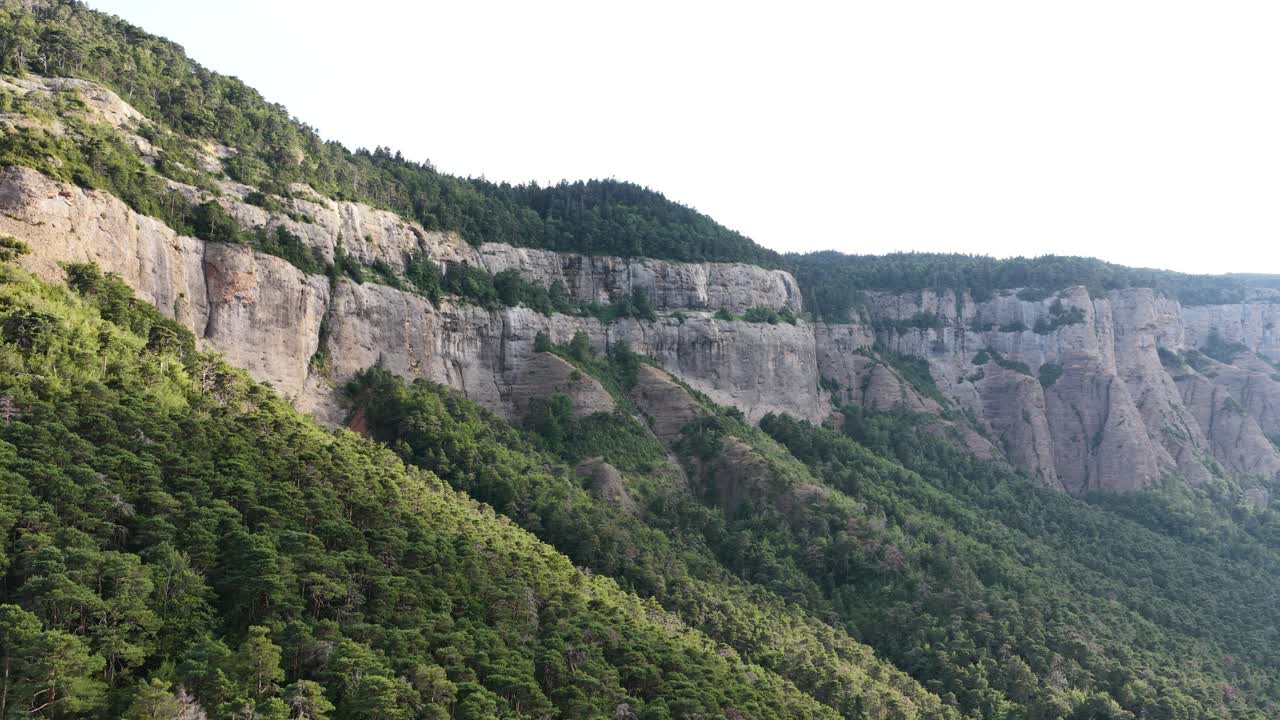 Vista panoramica di ripide scogliere montane coperte da una foresta verde