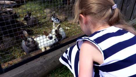 girl near rabbits at outdoor