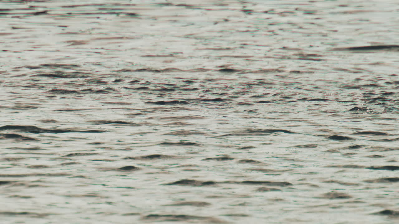 A cormorant swims and dives into the clear blue sea near the coast