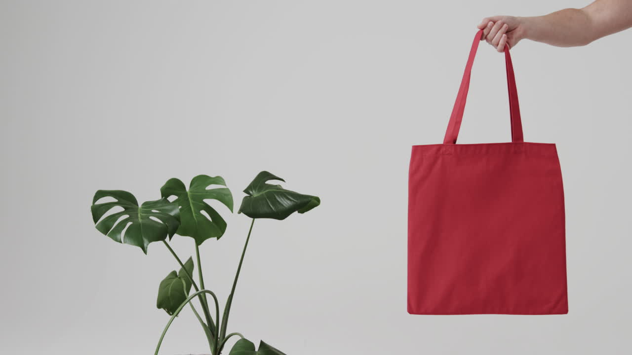 mano de mujer caucásica sosteniendo una bolsa roja con planta en fondo blanco, espacio de copia, cámara lenta