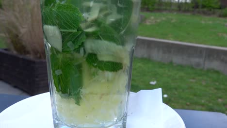 té de hierbas frescas con trozos de menta y jengibre