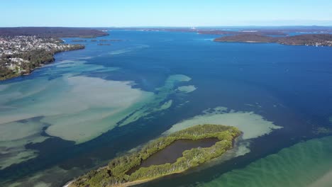 lago macquarie - isla espectáculo