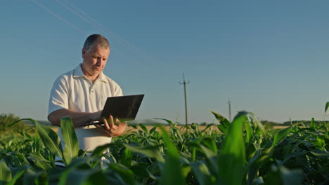 agricultor trabajando en un campo de maíz con una computadora portátil