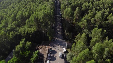 Aerial View of Cars Parked on a Road Through a Forest