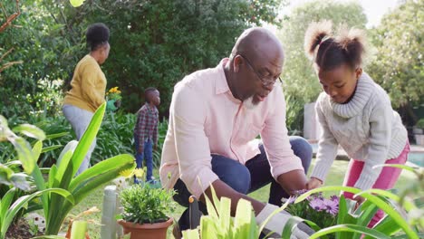 familia afroamericana trabajando en el jardín en un día soleado