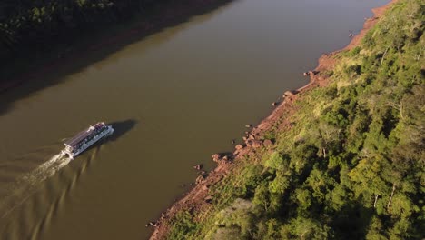 drone tracking shot of tourist ferry cruising on iguazu river in sunset on border between argentina and brazil