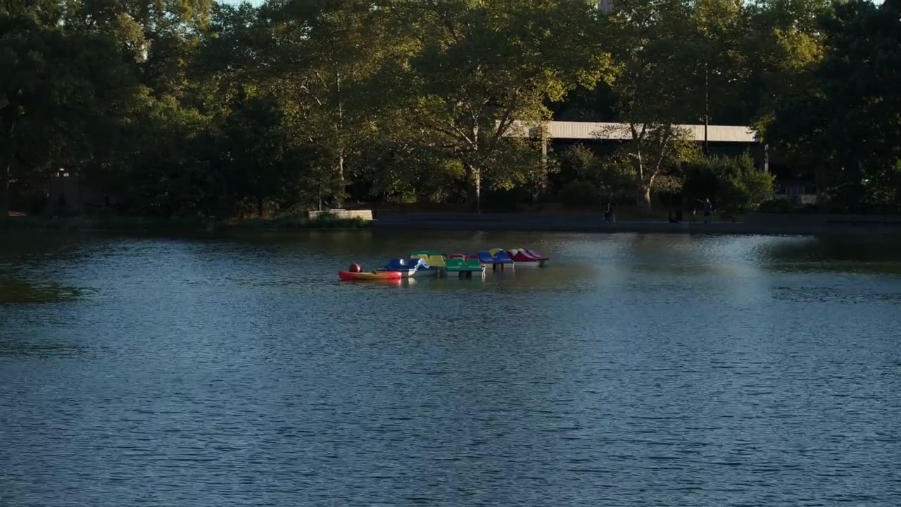 Luftfoto af vandcykler i Prospect Park Lake. Optaget en oktobermorgen i Brooklyn, New York.