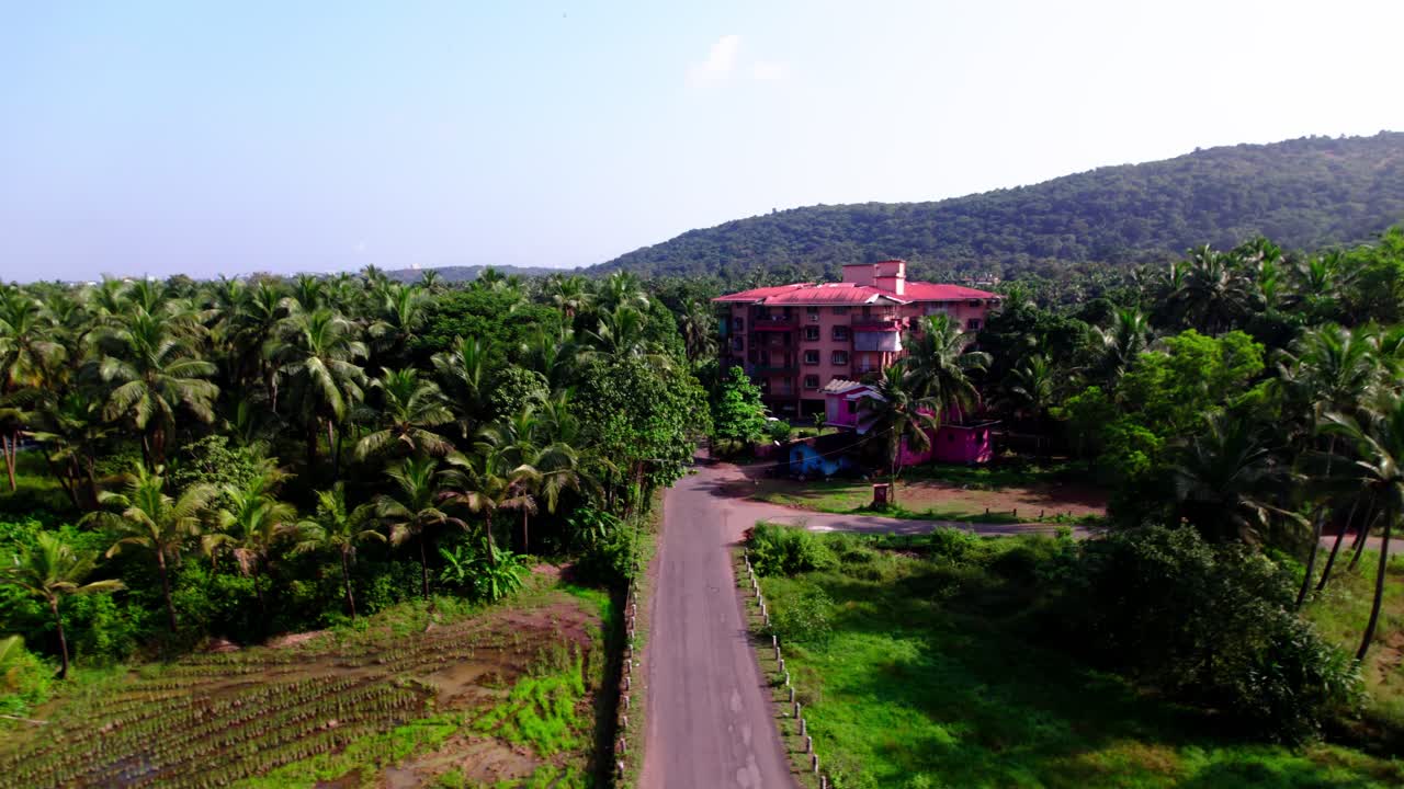 Strada di un tranquillo villaggio circondata da fitti alberi di cocco e rigogliosi paesaggi verdi a Goa. Diurno, ripresa allontanata, ripresa con drone, 4K