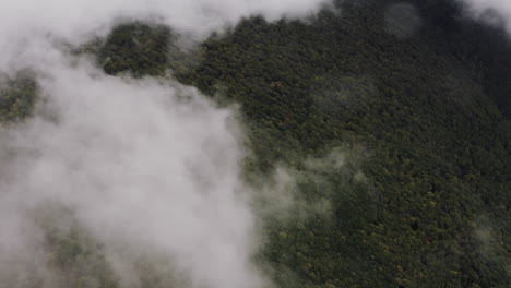 volando sobre la nube blanca que cubre el bosque verde, toma aérea