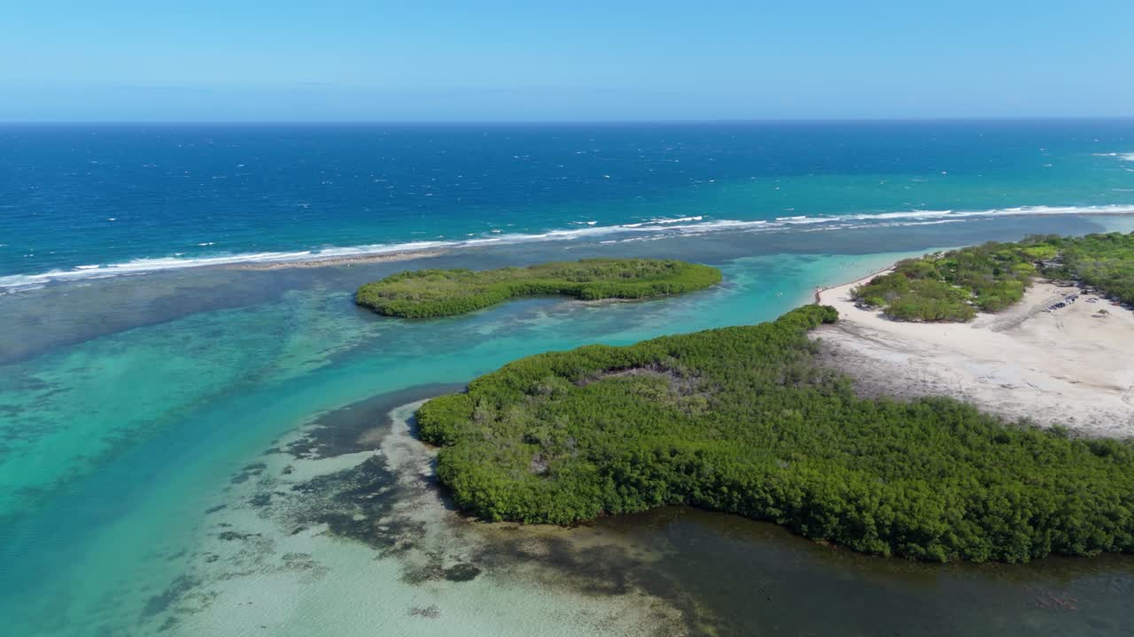 Dense Vegetation Of La Caobita Beach Seashores In The Dominican Republic. Aerial Drone Shot