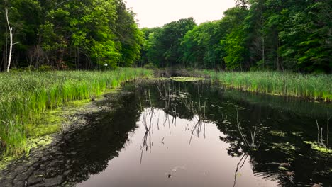 Vorwärts-Schieben-Und-Nach-Unten-Kippen,-Während-Man-Dem-Schwarzen-Wasser-Folgt