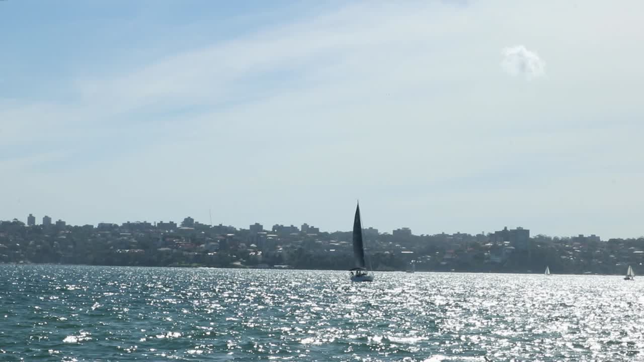 Single sailboat in the shimmering ocean