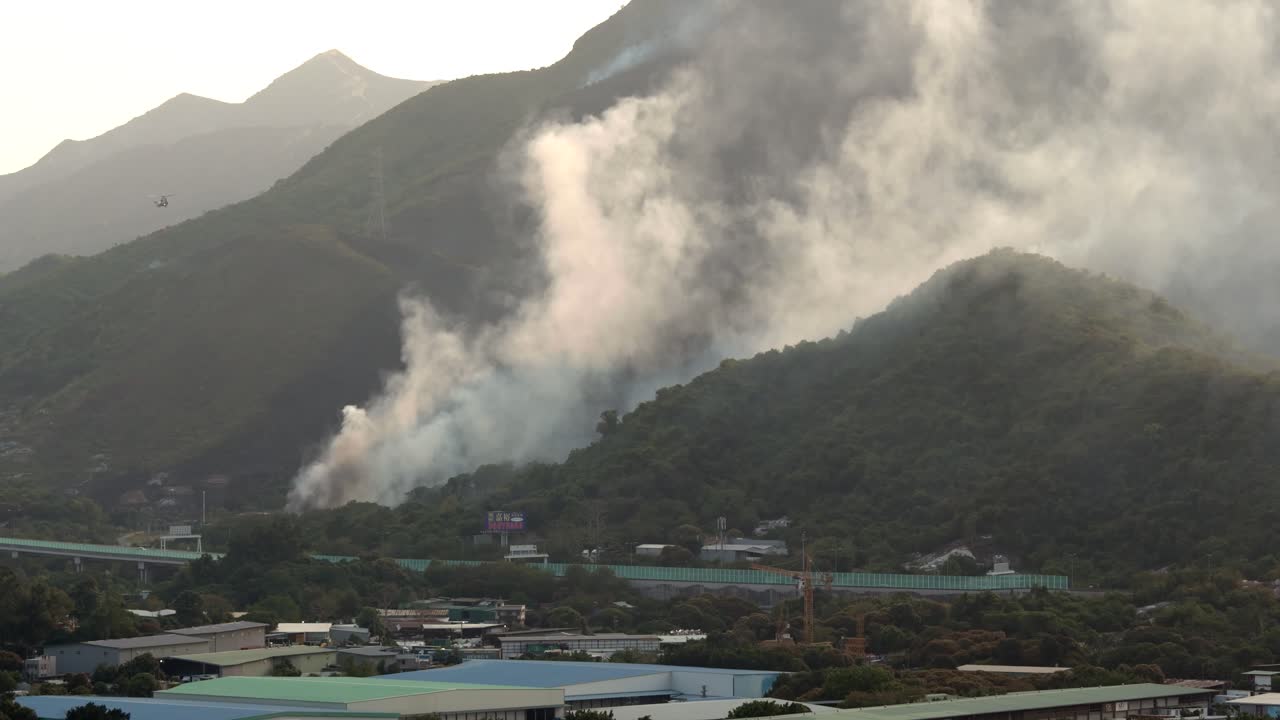 안개 낀 숲과 산