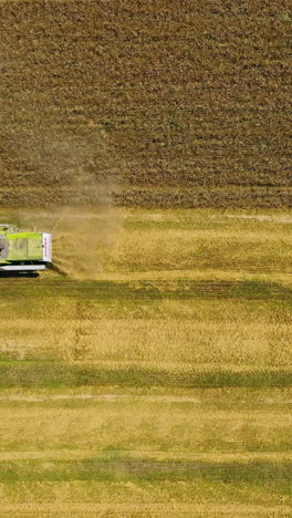Top view of working combine. Aerial view of agricultural land with harvester Vertical video