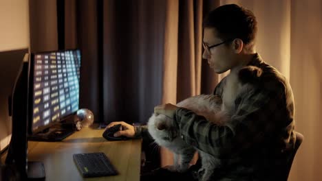 Young-guy-looking-at-screen-traiding-online-from-home-office-sit-with-cute-white-fluffy-cat