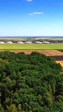 drone flight over the green woods and fields to the tanks of biogas plant. sustainable production of green energy. vertical video