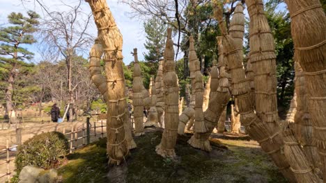나무는 겨울에 보존하기 위해 으로 감싸고 있습니다.