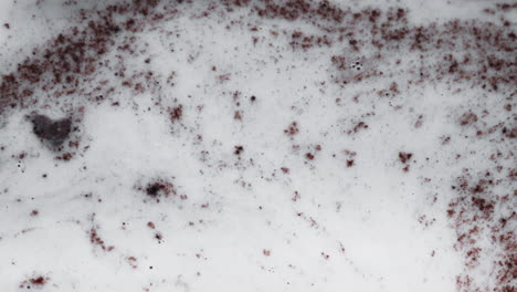 partículas de color rojo oscuro se arremolinan y flotan en un líquido blanco lechoso, abstracto