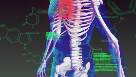 cuerpo humano giratorio y esqueleto con datos digitales en movimiento