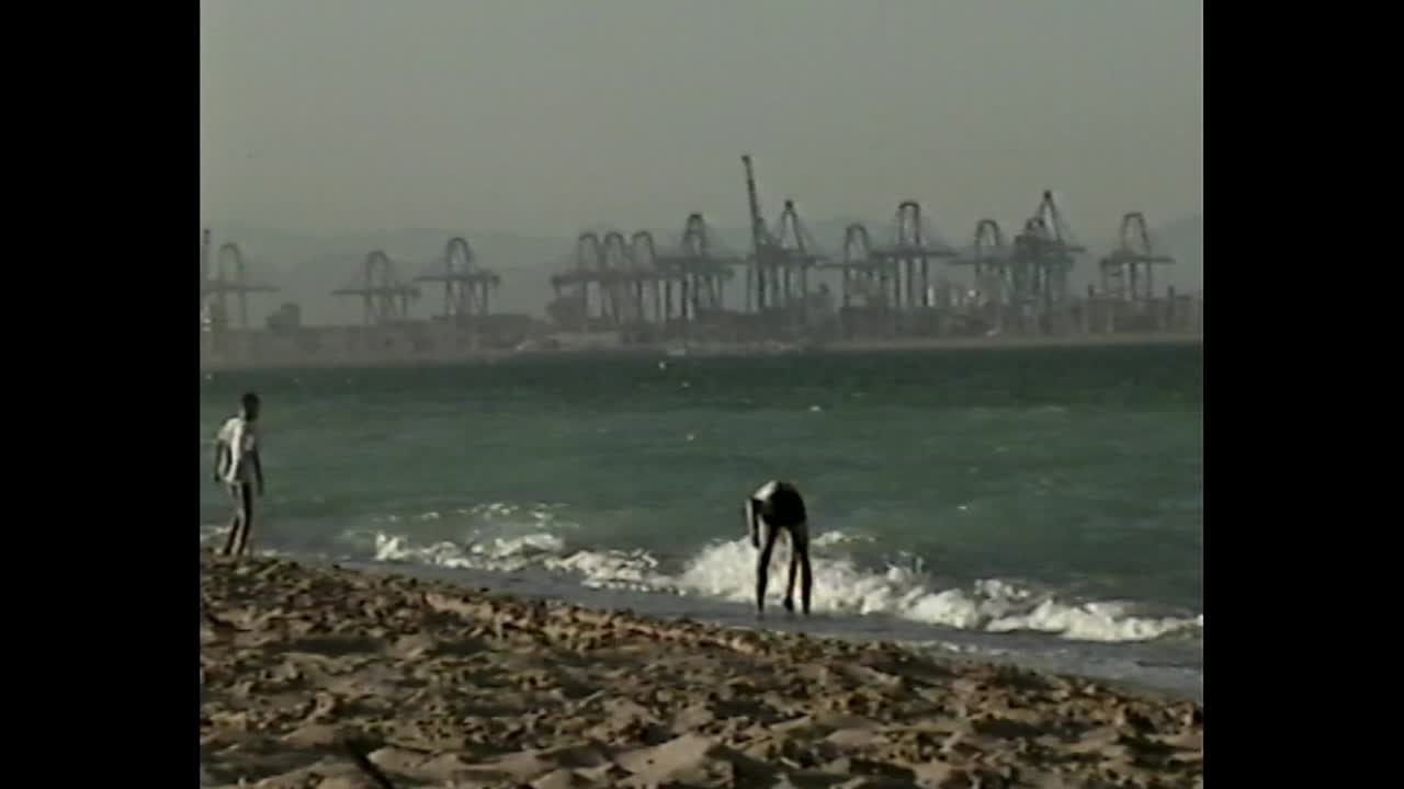 People on a beach with cranes in the background