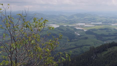 low rainforest mountain, extrema - minas gerais, brazil, lake view