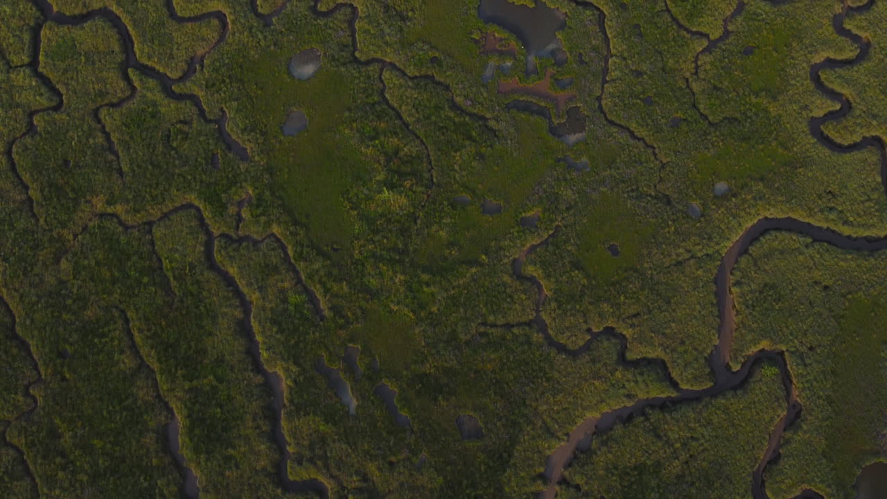 un dron aéreo de arriba hacia abajo volaba sobre una marisma salada verde en el norte de norfolk, reino unido