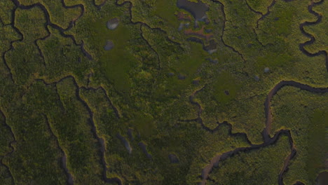 High-Topdown-Aerial-Drone-Shot-Flying-Over-Green-Salt-Marsh-in-North-Norfolk-UK