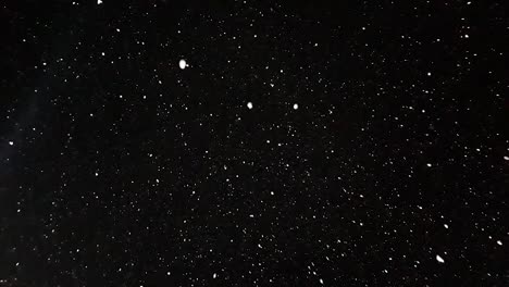 snow falling into camera in slow motion at night