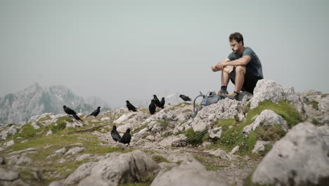 shot of a hiker sitting on the rock eating sandwich at the tp of mountain raduha, birds aproaching for food than taking of and gliding in the sky