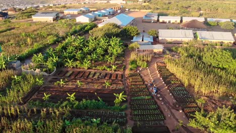 vegetable beds with irrigation system in self sustainable african village