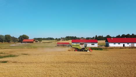 aerial view of harvester mower mechanism cuts wheat spikelets-6