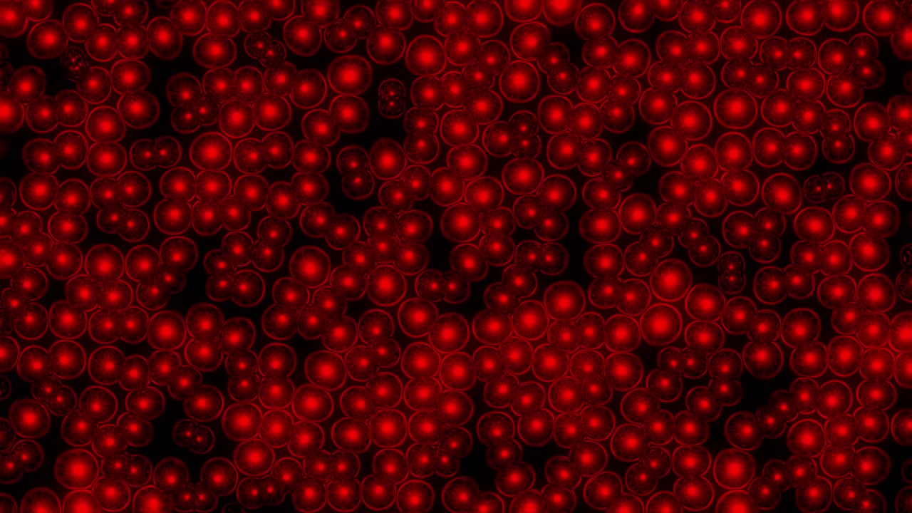 밝게 빛나는 핵을 가진 부드러운 물결 모양의 은 세포의 애니메이션