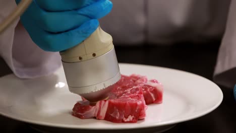 scientist using technology to analyse piece of meat