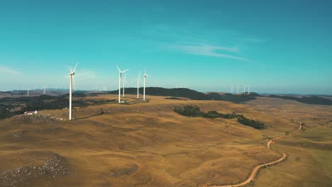 beautiful aerial view of large field wind turbine generators park on a sunny day