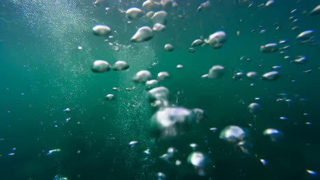 bubbles underwater