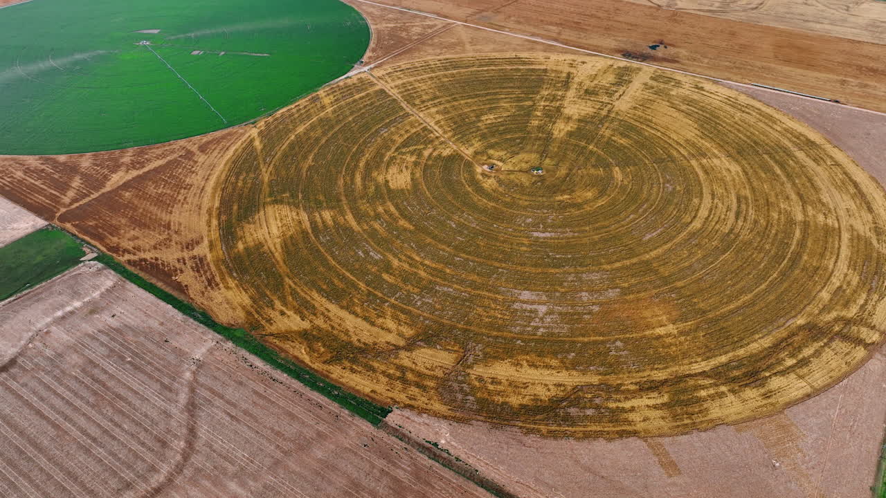 Circular farms of green and brown colors. Aerial view on the unusual agricultural fields with center-pivot-irrigation.