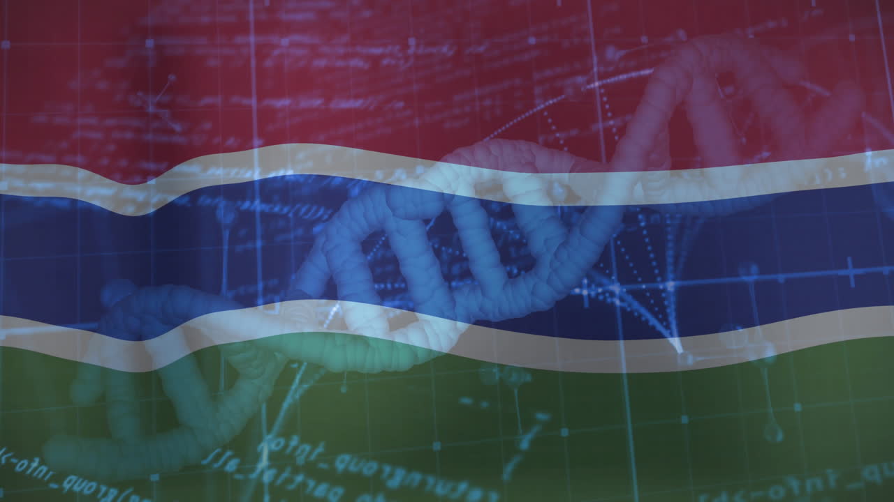 DNA strand and scientific data processing animation over Gambia flag background