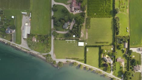 25 acres of peach and apricot orchards along the shores of lake ontario